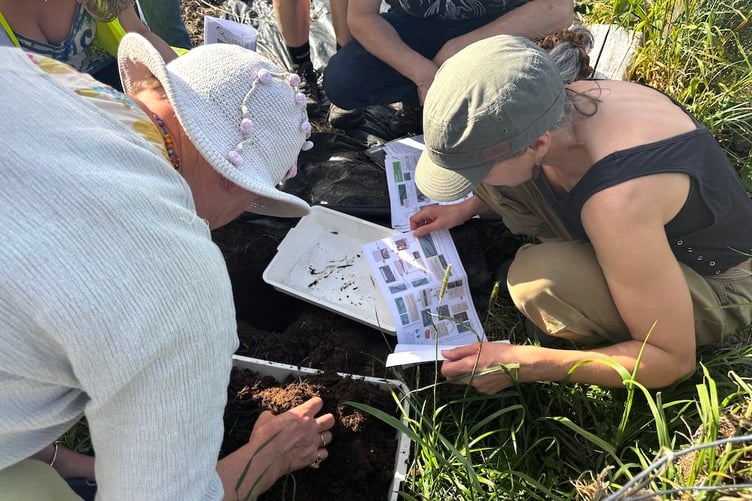 Earthworms and soil life were under investigation, as well as footprints of small mammals in the area.