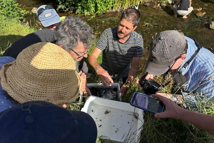 Identifying fish and invertebrates found in the local watercourse led by James Maben.