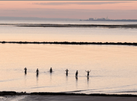 Solstice swimmers and early bin collections as heatwave arriving