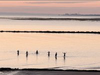Solstice swimmers and early bin collections as heatwave arriving