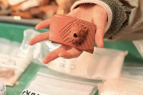 The team from Oakland Court organised the trip to reignite a resident's love for archaeology.