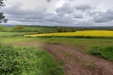 A view over some of the land near Milverton which Ilos New Energy wants to use for a solar farm.