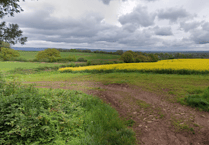 Autumn exhibition to showcase new solar energy park proposals for Milverton residents