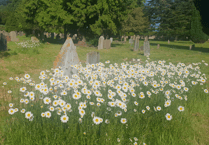 Town council promises to improve Wellington Cemetery after new contract agreed