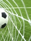 Wellington's pre-season preview
