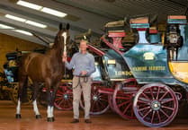 Unique opportunity to explore world of carriage driving on Blackdown Hills