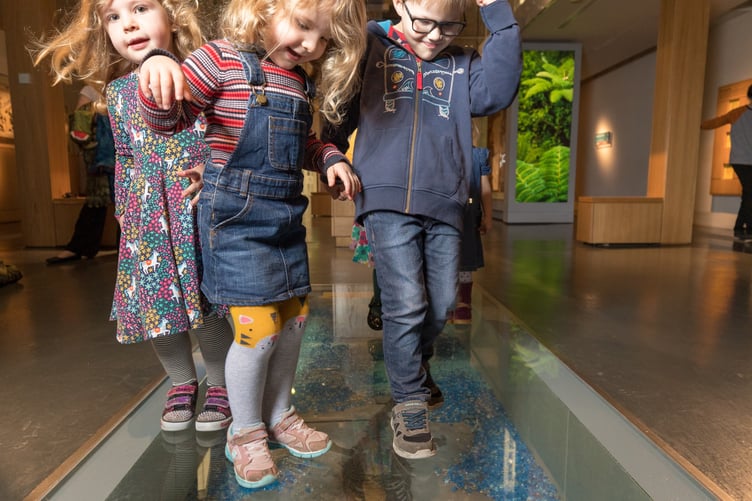 Plenty to see and do at the Museum of Somerset with PLAY experiences beginning on July 25.