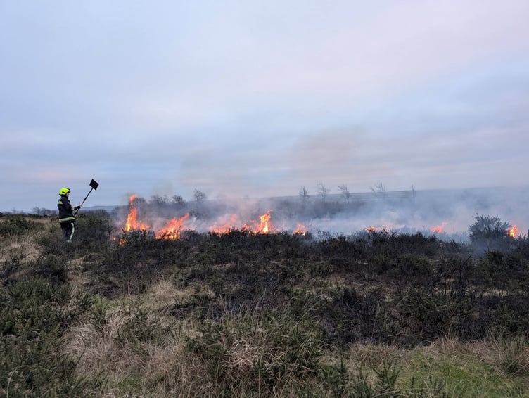 Devon and Somerset Fire and Rescue firefighters tackle a previous wildfire.