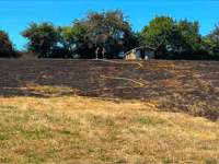 HEATWAVE WILDFIRE: Bonfire caused 2.5-acre blaze