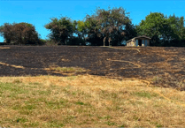 Wildfire near Wellington on one of hottest days of year caused by bonfire