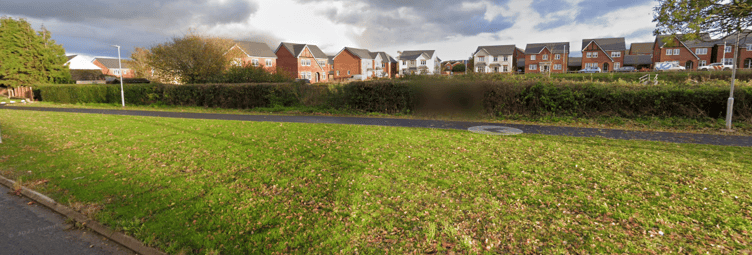 Hedges and grass caught on fire on the Monument View housing estate, in Rockwell Green, on Tuesday.