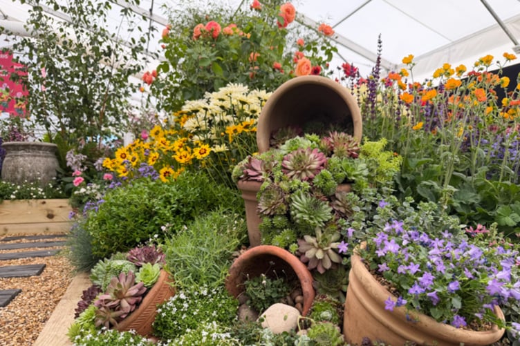 Blue Diamond picked up Gold with this exhibit featuring home-grown plants from their six nurseries.