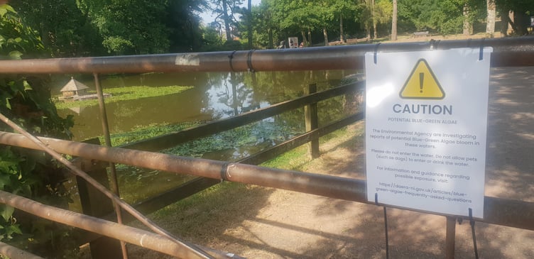One of the blue-green algae warning signs which has been put up at Wellington Basins.