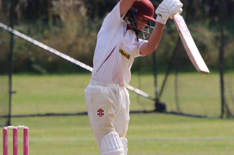 Division Seven South cricket