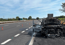 Wellington firefighters save crops and cattle as fire destroys car on motorway