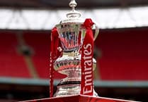 Wellington slump to another big loss in FA Cup at Willand