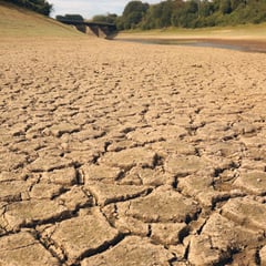 Reservoir level 'critical' as dry spell continues