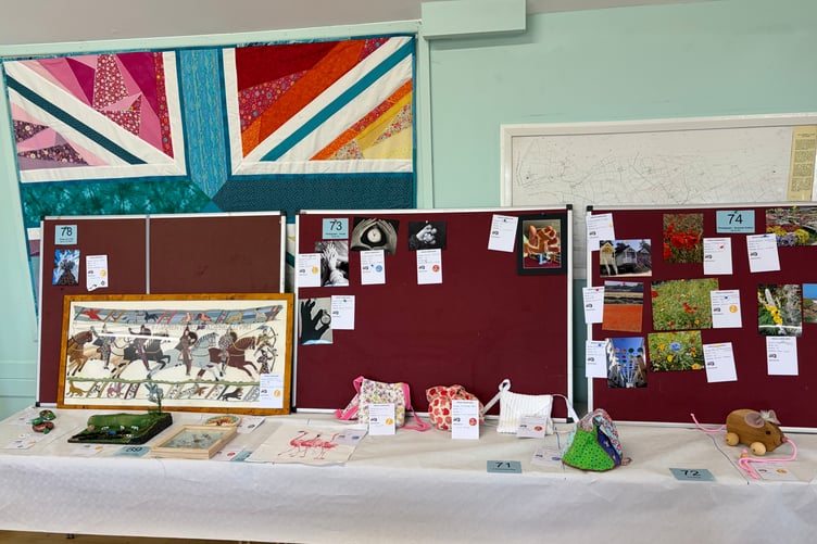 Judge Andrea Stout had some fascinating entries in the handicraft and young people categories.