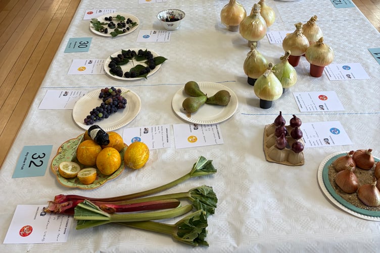 The exceptional weather may have depleted the number of entries but judges still had plenty to deliberate over.
