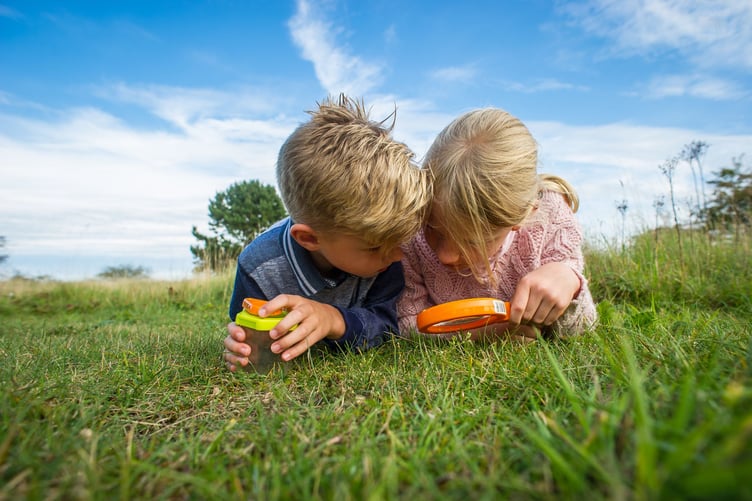 Somerset Wildlife Trust has five ideas to keep the kids busy, and inspired by nature, this summer.