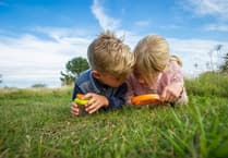 Wild ideas for kids this summer in Somerset