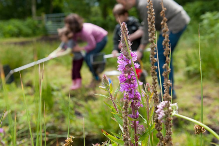 Somerset Wildlife Trust has a host of ideas to keep families busy exploring nature during the holidays.