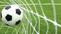 Wellington seeking head or player-coach