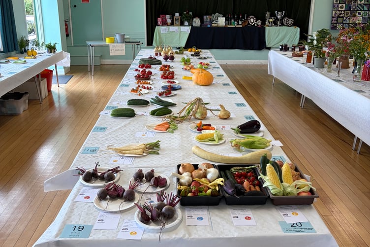 The Nynehead Village Flower Show saw fewer entries than usual but still gave the judges much to admire.