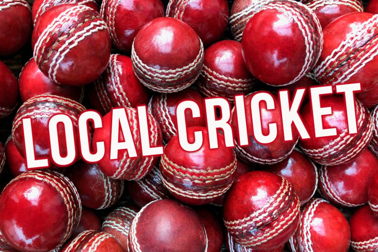 West Somerset Cricket League preview