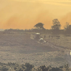 Wildfires see town fire crews deployed across UK