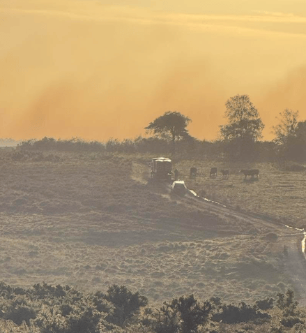 Wellington firefighters helped battle a huge blaze in the New Forest, Hampshire.