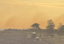 Wellington firefighters help battle New Forest and South Wales wildfires