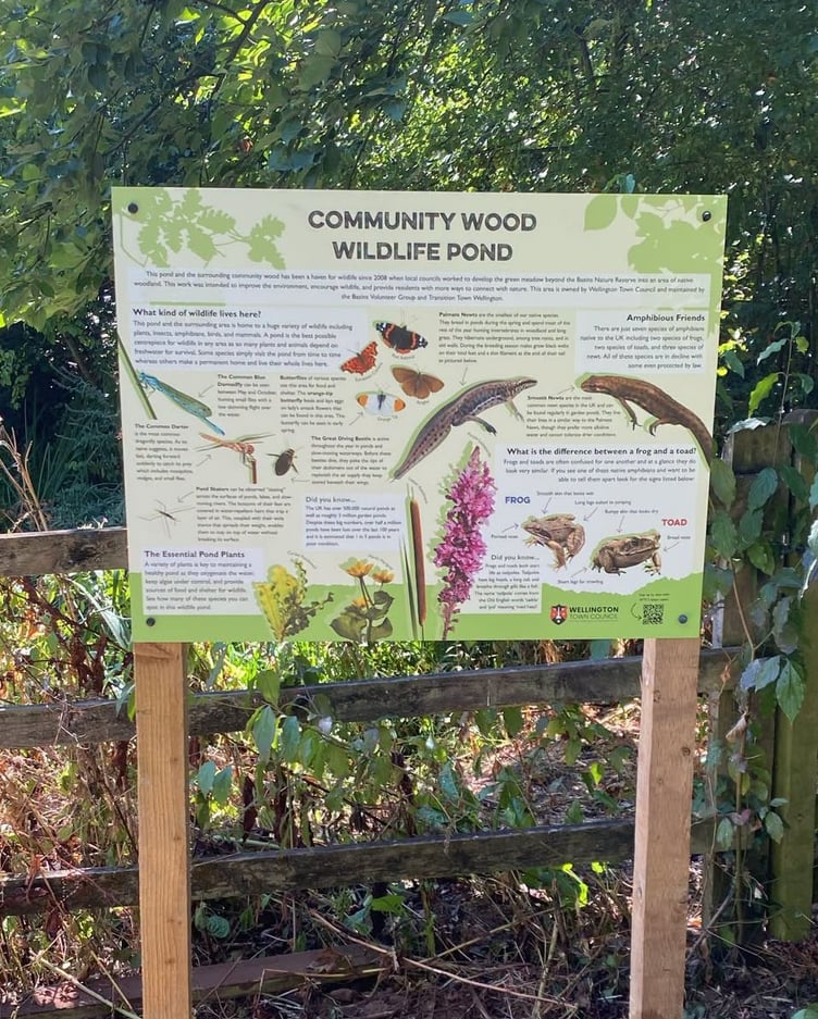 An interpretation board beside the community wood pond in Wellington Basins.