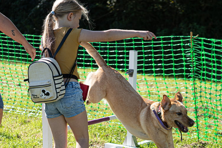 Agility classes will run alongside classes for the best in show, best trick and even the waggiest tail.