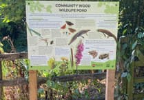 Community news in and around Wellington