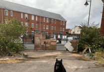 First trespassers on derelict Tonedale Mill site caught by new security dogs