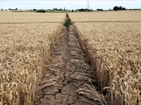 Support fund to help farmers with household bills