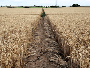 Support fund to help farmers with household bills