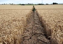 Drought-hit local farmers become eligible for grants to meet living costs