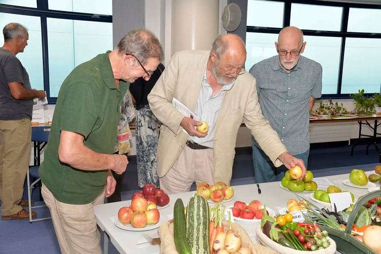 Judges Mark Joynes and Andy Russell examine a good crop in the produce classes at the weekend show.