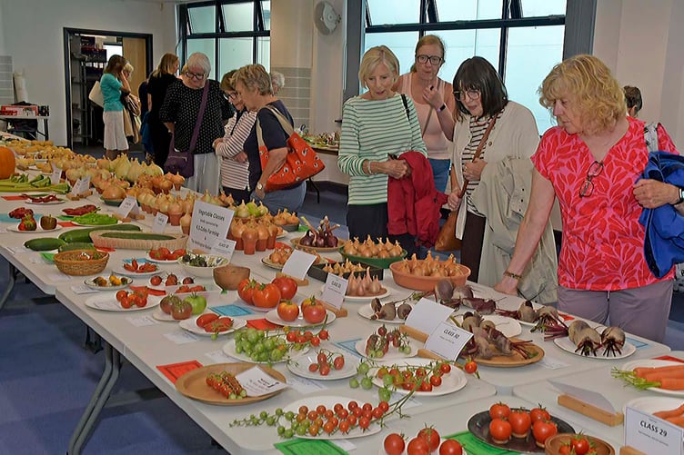 Showgoers judging the long carrots, huge marrows and onions, wonky veg and appetising apples and pears.