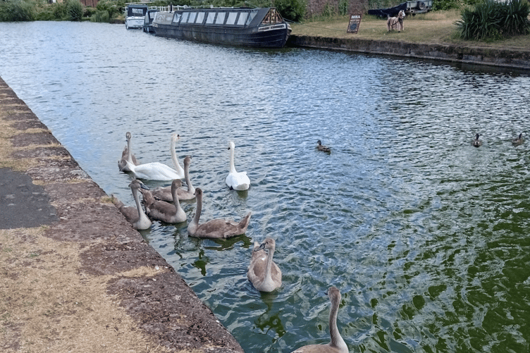 The Grand Western Canal once linked Taunton to Tiverton Basin as a flourishing trade route.
