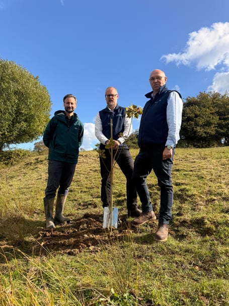 Summerfield and naturethrive plant an oak sapling on the site to mark the beginning of their partnership.