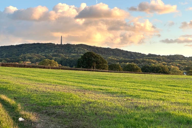 Some of the countryside on which Pegasus wants to build 250 houses, in full view of Wellington Monument,