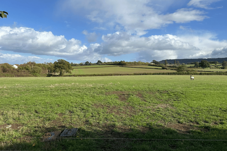 Fields near Stallards, to the south of Wellington, where Pegasus wants to built 250 new houses.