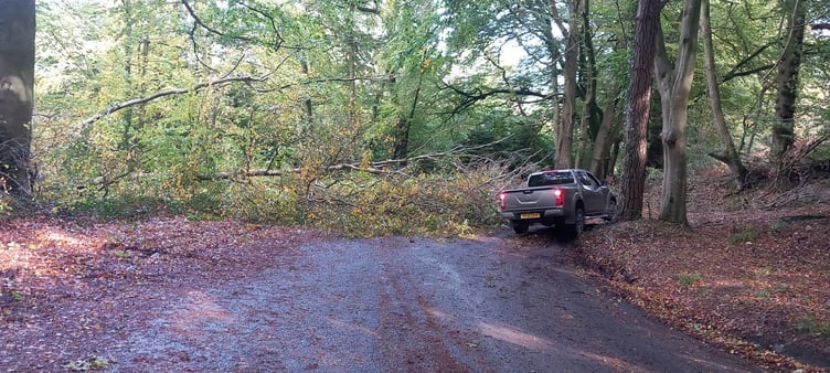 A tree came down on Sunday morning and blocked Monument Hill, two miles outside Wellington, in the aftermath of Storm Boelo.
