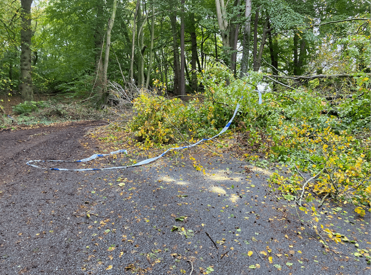 Residents helped to clear Monument Hill, outside Wellington, with a chainsaw after the road was blocked by a fallen tree on Sunday.