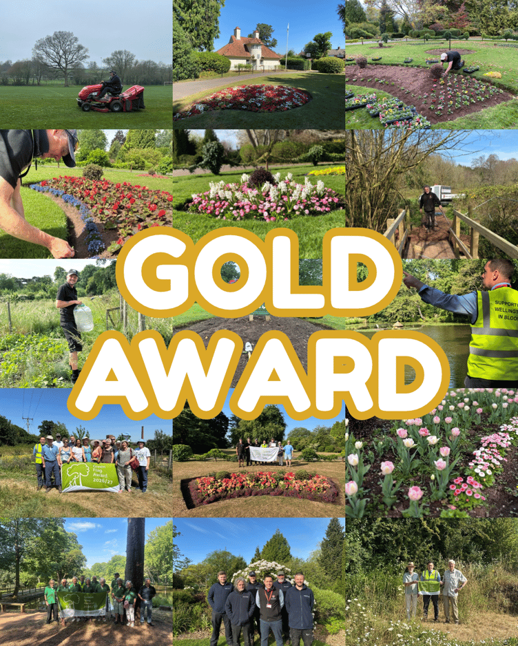 Wellington has struck gold again in this year's South West in Bloom competition and is looking to make it a hat-trick in 2027.