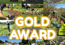 Wellington sees spectacular wins again in Westcountry's bloom awards