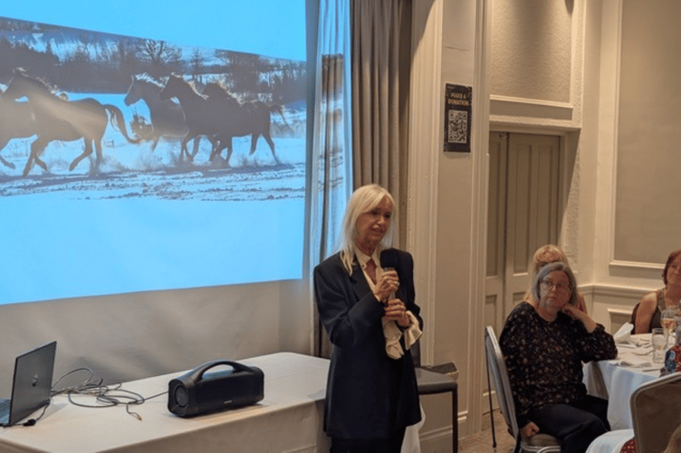 During a Q&A session, Susan George spoke about her acting career and her love of horses.